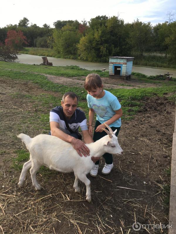 промокод в парк сказов. Смотреть фото промокод в парк сказов. Смотреть картинку промокод в парк сказов. Картинка про промокод в парк сказов. Фото промокод в парк сказов промокод в парк сказов. Смотреть фото промокод в парк сказов. Смотреть картинку промокод в парк сказов. Картинка про промокод в парк сказов. Фото промокод в парк сказов