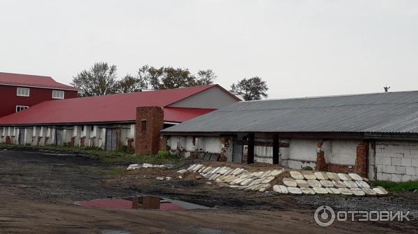 1751656 40638484 жд вокзал валдай телефон