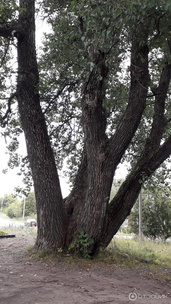 1751656 42371440 жд вокзал валдай телефон