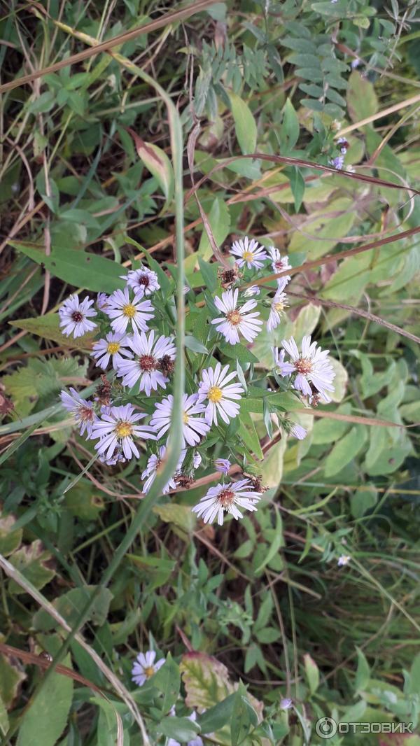 1751656 5207381 жд вокзал валдай телефон