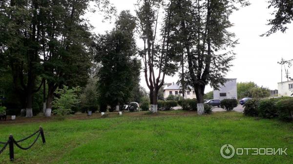 1751656 86678616 жд вокзал валдай телефон