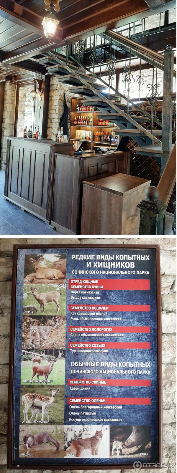 экскурсия гора ахун и дача сталина. Смотреть фото экскурсия гора ахун и дача сталина. Смотреть картинку экскурсия гора ахун и дача сталина. Картинка про экскурсия гора ахун и дача сталина. Фото экскурсия гора ахун и дача сталина экскурсия гора ахун и дача сталина. Смотреть фото экскурсия гора ахун и дача сталина. Смотреть картинку экскурсия гора ахун и дача сталина. Картинка про экскурсия гора ахун и дача сталина. Фото экскурсия гора ахун и дача сталина