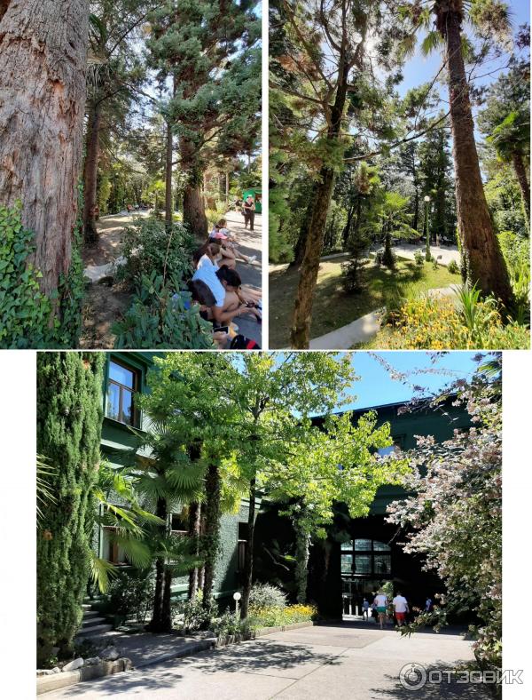 экскурсия гора ахун и дача сталина. Смотреть фото экскурсия гора ахун и дача сталина. Смотреть картинку экскурсия гора ахун и дача сталина. Картинка про экскурсия гора ахун и дача сталина. Фото экскурсия гора ахун и дача сталина экскурсия гора ахун и дача сталина. Смотреть фото экскурсия гора ахун и дача сталина. Смотреть картинку экскурсия гора ахун и дача сталина. Картинка про экскурсия гора ахун и дача сталина. Фото экскурсия гора ахун и дача сталина