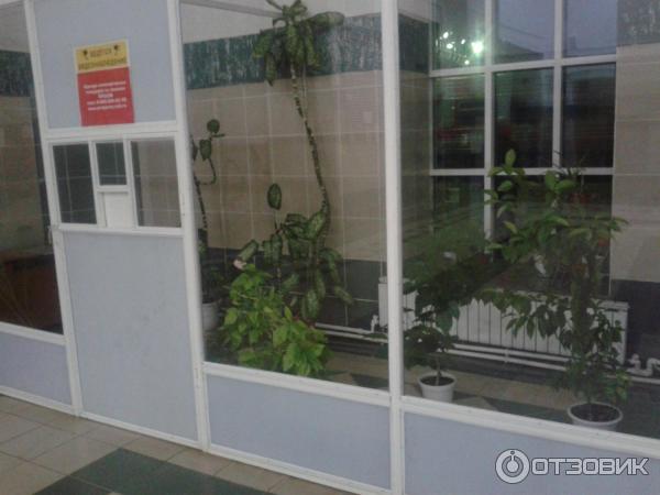 1757486 21215281 жд вокзал ершов телефон кассы