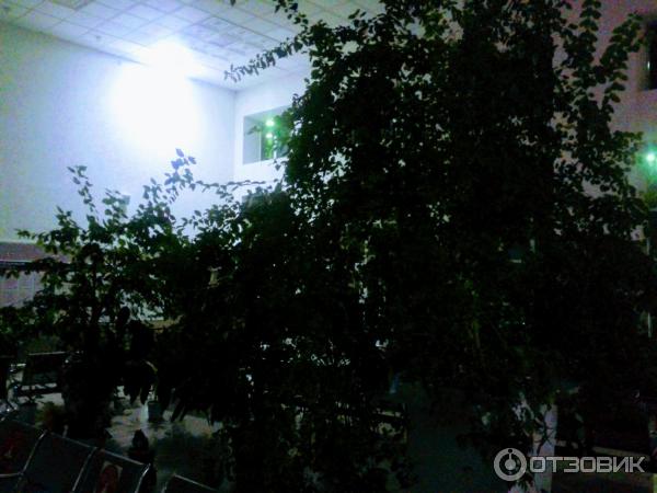 1757486 73126249 жд вокзал ершов телефон кассы