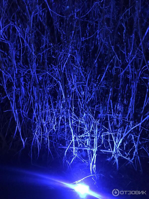 1773169 50992416 кафе шато должанская телефон