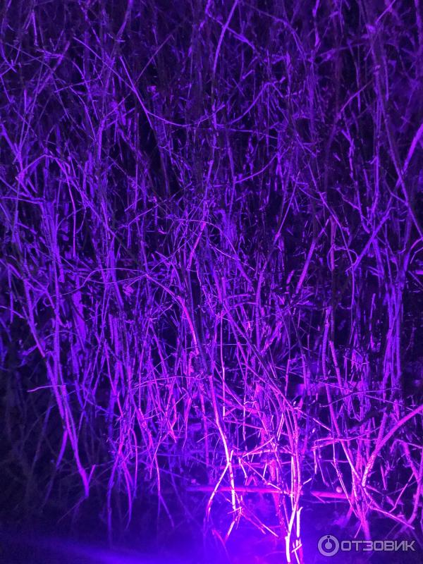 1773169 60043464 кафе шато должанская телефон