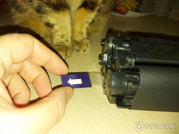 принтер hp laserjet 1010 какой картридж. Смотреть фото принтер hp laserjet 1010 какой картридж. Смотреть картинку принтер hp laserjet 1010 какой картридж. Картинка про принтер hp laserjet 1010 какой картридж. Фото принтер hp laserjet 1010 какой картридж