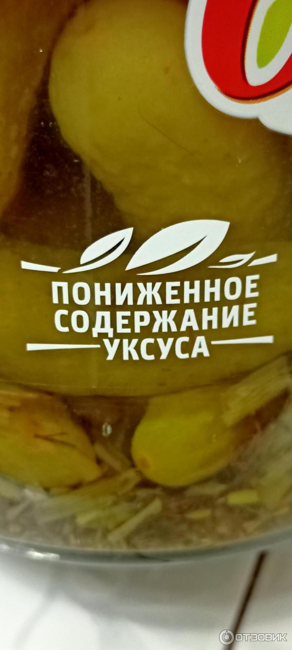 6 соток ассорти помидоры огурцы. Смотреть фото 6 соток ассорти помидоры огурцы. Смотреть картинку 6 соток ассорти помидоры огурцы. Картинка про 6 соток ассорти помидоры огурцы. Фото 6 соток ассорти помидоры огурцы