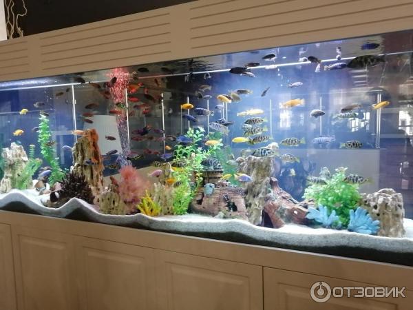 промокод красная талка геленджик. Смотреть фото промокод красная талка геленджик. Смотреть картинку промокод красная талка геленджик. Картинка про промокод красная талка геленджик. Фото промокод красная талка геленджик