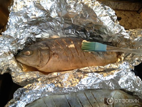 рыба похожая на ставридку. Смотреть фото рыба похожая на ставридку. Смотреть картинку рыба похожая на ставридку. Картинка про рыба похожая на ставридку. Фото рыба похожая на ставридку рыба похожая на ставридку. Смотреть фото рыба похожая на ставридку. Смотреть картинку рыба похожая на ставридку. Картинка про рыба похожая на ставридку. Фото рыба похожая на ставридку