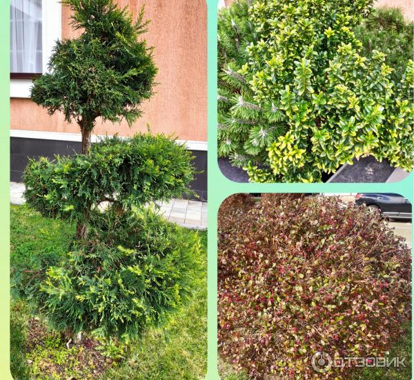 промокод гамма сириус отель. Смотреть фото промокод гамма сириус отель. Смотреть картинку промокод гамма сириус отель. Картинка про промокод гамма сириус отель. Фото промокод гамма сириус отель промокод гамма сириус отель. Смотреть фото промокод гамма сириус отель. Смотреть картинку промокод гамма сириус отель. Картинка про промокод гамма сириус отель. Фото промокод гамма сириус отель