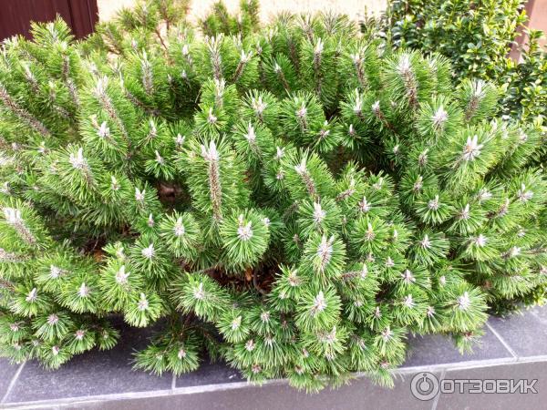 промокод гамма сириус отель. Смотреть фото промокод гамма сириус отель. Смотреть картинку промокод гамма сириус отель. Картинка про промокод гамма сириус отель. Фото промокод гамма сириус отель промокод гамма сириус отель. Смотреть фото промокод гамма сириус отель. Смотреть картинку промокод гамма сириус отель. Картинка про промокод гамма сириус отель. Фото промокод гамма сириус отель