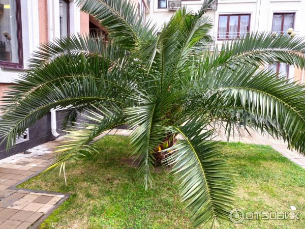 промокод гамма сириус отель. Смотреть фото промокод гамма сириус отель. Смотреть картинку промокод гамма сириус отель. Картинка про промокод гамма сириус отель. Фото промокод гамма сириус отель промокод гамма сириус отель. Смотреть фото промокод гамма сириус отель. Смотреть картинку промокод гамма сириус отель. Картинка про промокод гамма сириус отель. Фото промокод гамма сириус отель