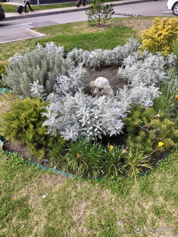 промокод гамма сириус отель. Смотреть фото промокод гамма сириус отель. Смотреть картинку промокод гамма сириус отель. Картинка про промокод гамма сириус отель. Фото промокод гамма сириус отель промокод гамма сириус отель. Смотреть фото промокод гамма сириус отель. Смотреть картинку промокод гамма сириус отель. Картинка про промокод гамма сириус отель. Фото промокод гамма сириус отель