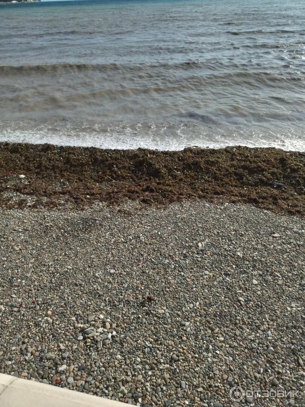 268369 26549387 Что чирикает в кабардинке