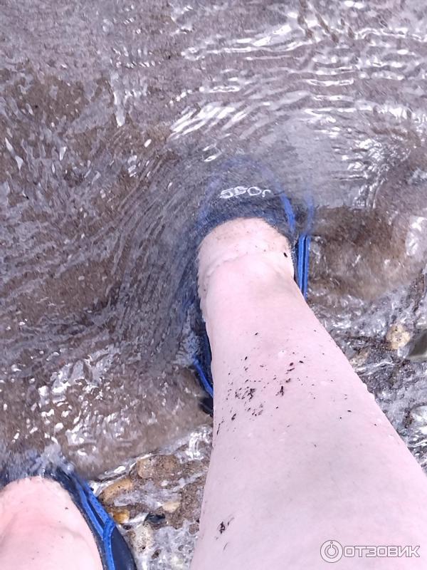 268369 31812738 Что чирикает в кабардинке