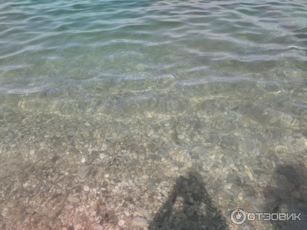 268369 37526149 Что чирикает в кабардинке