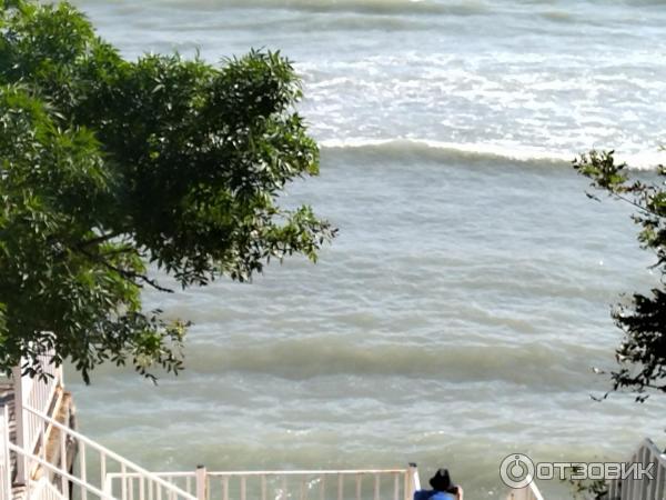 268369 38634544 Что чирикает в кабардинке