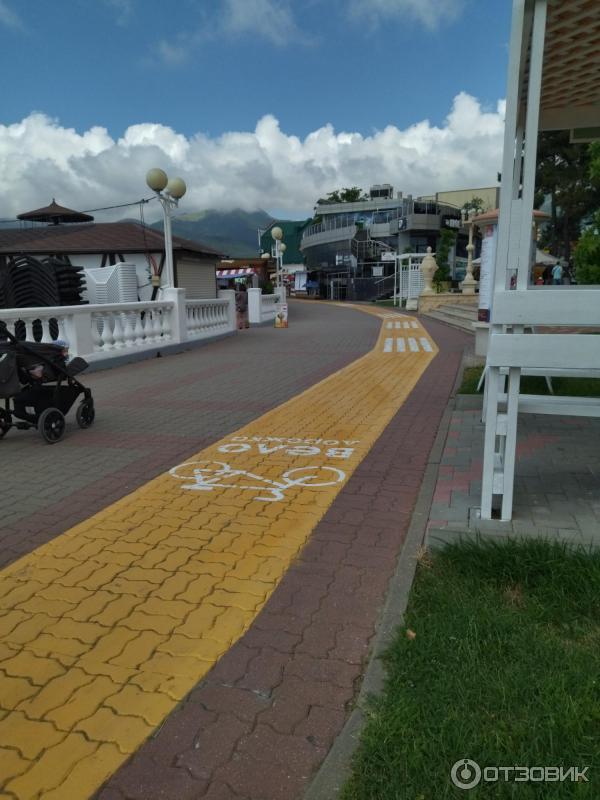 268369 6999660 Что чирикает в кабардинке