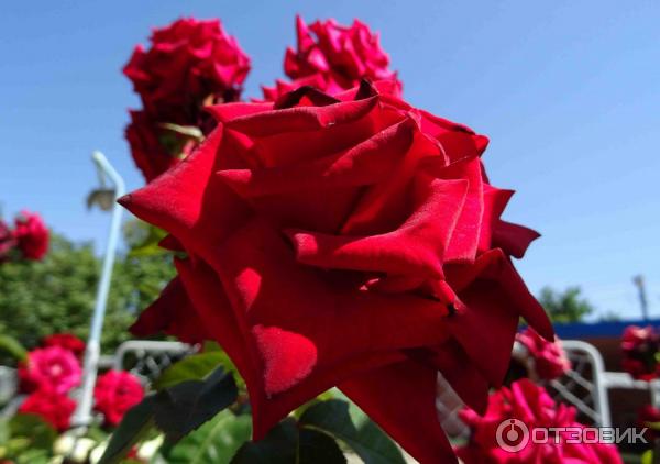 промокод белый берег сантехника. Смотреть фото промокод белый берег сантехника. Смотреть картинку промокод белый берег сантехника. Картинка про промокод белый берег сантехника. Фото промокод белый берег сантехника промокод белый берег сантехника. Смотреть фото промокод белый берег сантехника. Смотреть картинку промокод белый берег сантехника. Картинка про промокод белый берег сантехника. Фото промокод белый берег сантехника