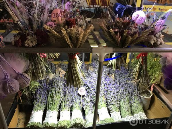 какие магазины в крыму самые низкие. Смотреть фото какие магазины в крыму самые низкие. Смотреть картинку какие магазины в крыму самые низкие. Картинка про какие магазины в крыму самые низкие. Фото какие магазины в крыму самые низкие