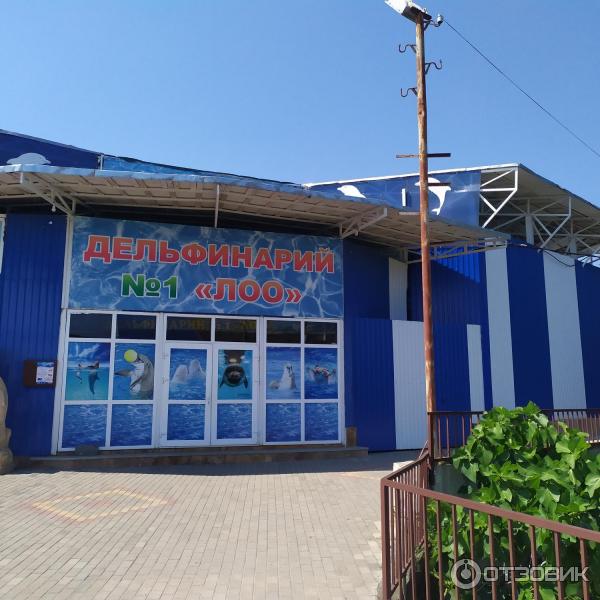 674433 22168605 дельфинарий в лоо номер 1