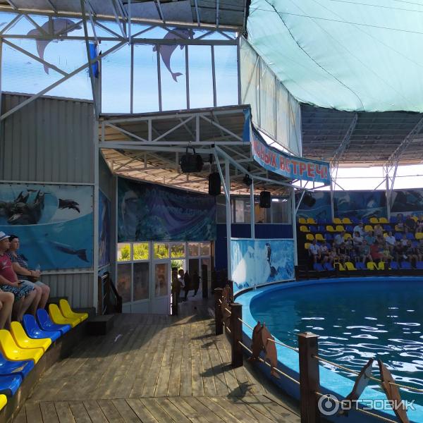 674433 24202146 дельфинарий в лоо номер 1