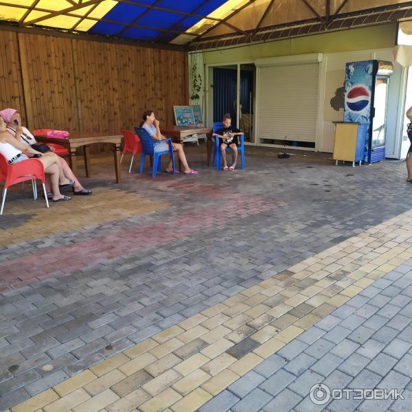 674433 26999325 дельфинарий в лоо номер 1