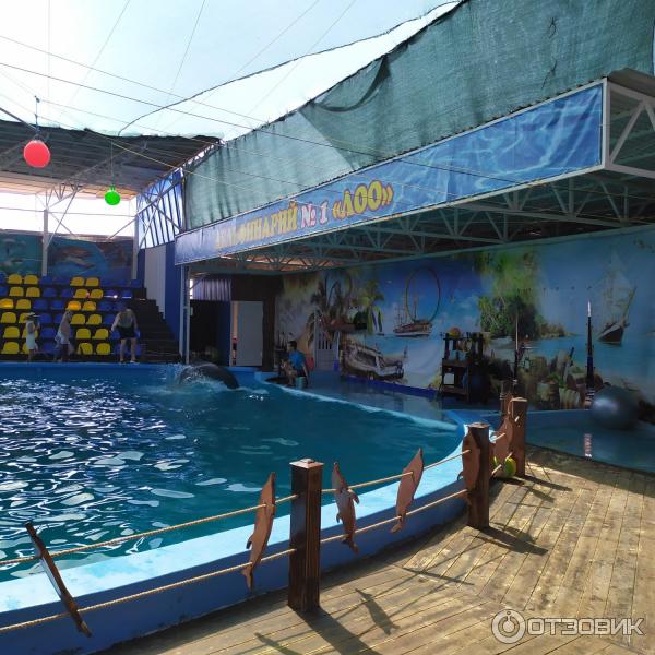 674433 32705273 дельфинарий в лоо номер 1