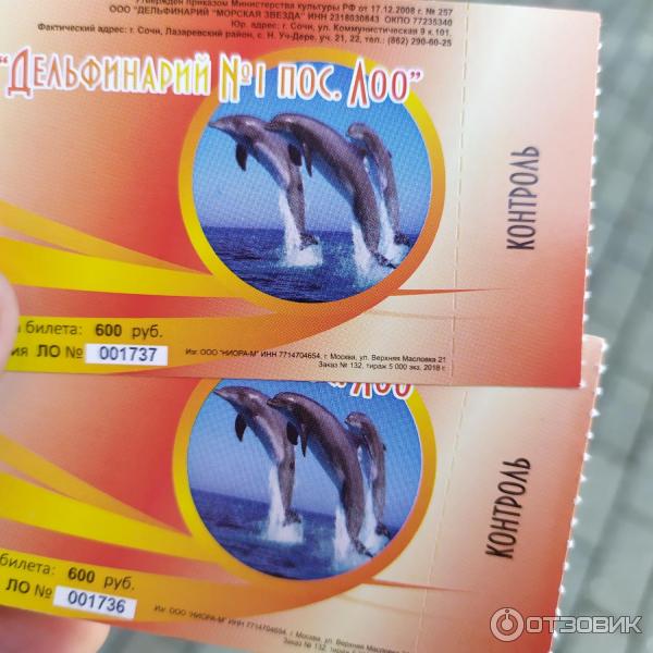 674433 47316779 дельфинарий в лоо номер 1