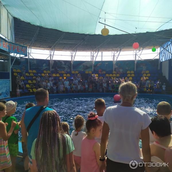 674433 65861636 дельфинарий в лоо номер 1