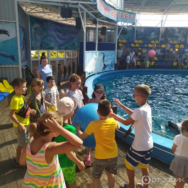 674433 7019364 дельфинарий в лоо номер 1