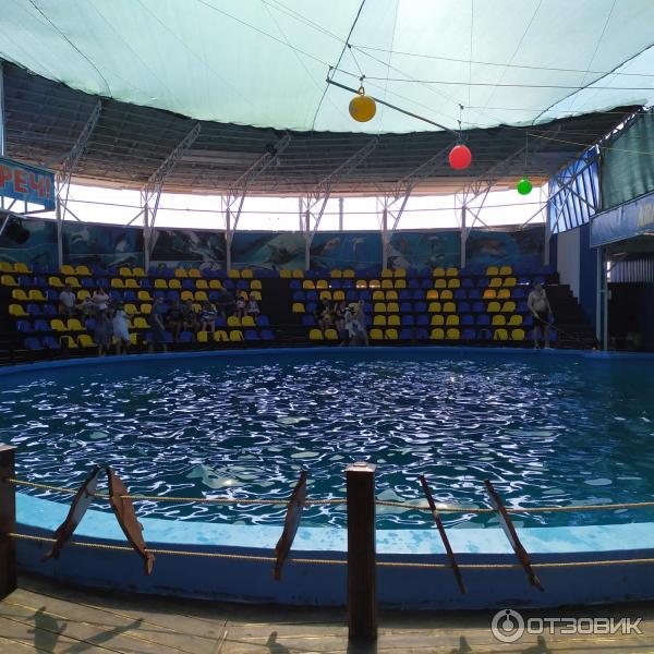 674433 72722099 дельфинарий в лоо номер 1