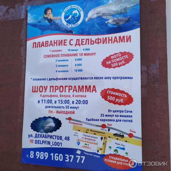 674433 75141979 дельфинарий в лоо номер 1