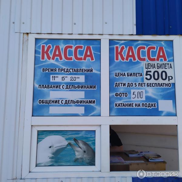 674433 83996125 дельфинарий в лоо номер 1