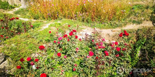 в каком регионе армении находится самая длинная реверсивная канатная дорога. Смотреть фото в каком регионе армении находится самая длинная реверсивная канатная дорога. Смотреть картинку в каком регионе армении находится самая длинная реверсивная канатная дорога. Картинка про в каком регионе армении находится самая длинная реверсивная канатная дорога. Фото в каком регионе армении находится самая длинная реверсивная канатная дорога в каком регионе армении находится самая длинная реверсивная канатная дорога. Смотреть фото в каком регионе армении находится самая длинная реверсивная канатная дорога. Смотреть картинку в каком регионе армении находится самая длинная реверсивная канатная дорога. Картинка про в каком регионе армении находится самая длинная реверсивная канатная дорога. Фото в каком регионе армении находится самая длинная реверсивная канатная дорога