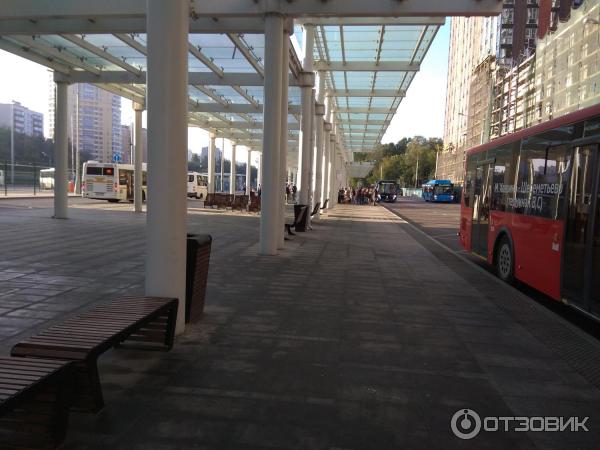 Автобусный маршрут № 1195 Метро Ховрино - аэропорт Шереметьево (Россия, Москва) фото
