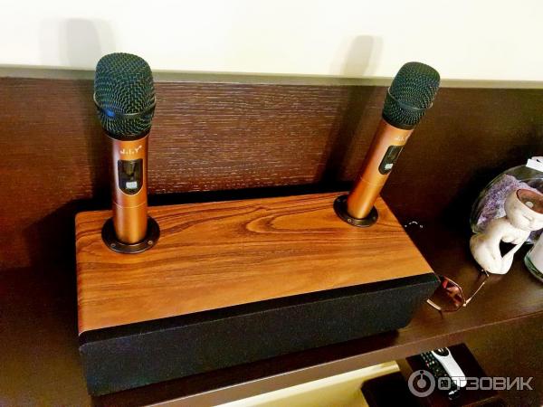 Караоке система artifact. 1. Караоке система artifact. Jonsen pro artifact 2. 1.