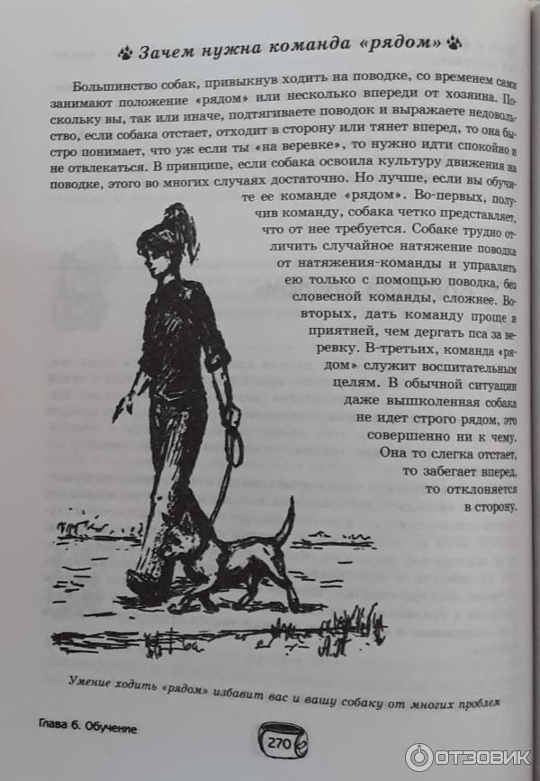 Книга Собака . Полное руководство по дрессировке и уходу Целлариус. А. Ю фото