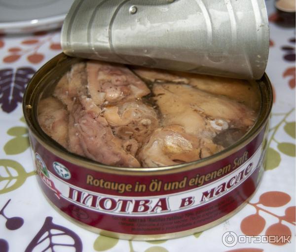 Консервы из плотвы. Консервы из скумбрии в автоклаве. Консервы из плотвы. Консервы из мелкой речной рыбы. Консервы из плотвы.