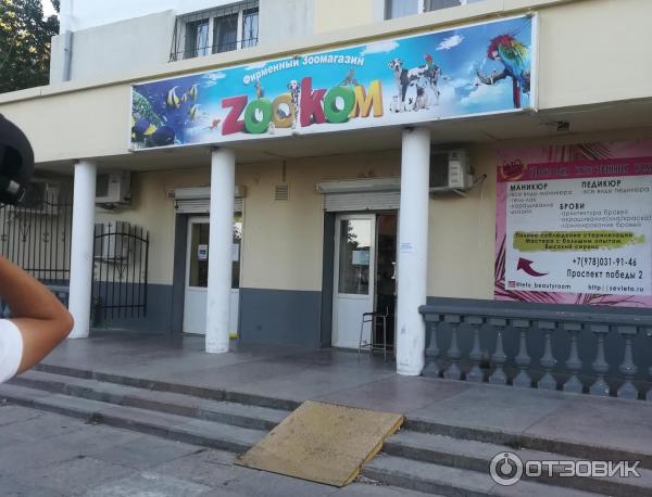 проспект победы 45а севастополь на карте. проспект победы севастополь. пр победы 38 а севастополь. проспект победы 2а севастополь. магазины в севастополе на проспекте победы.