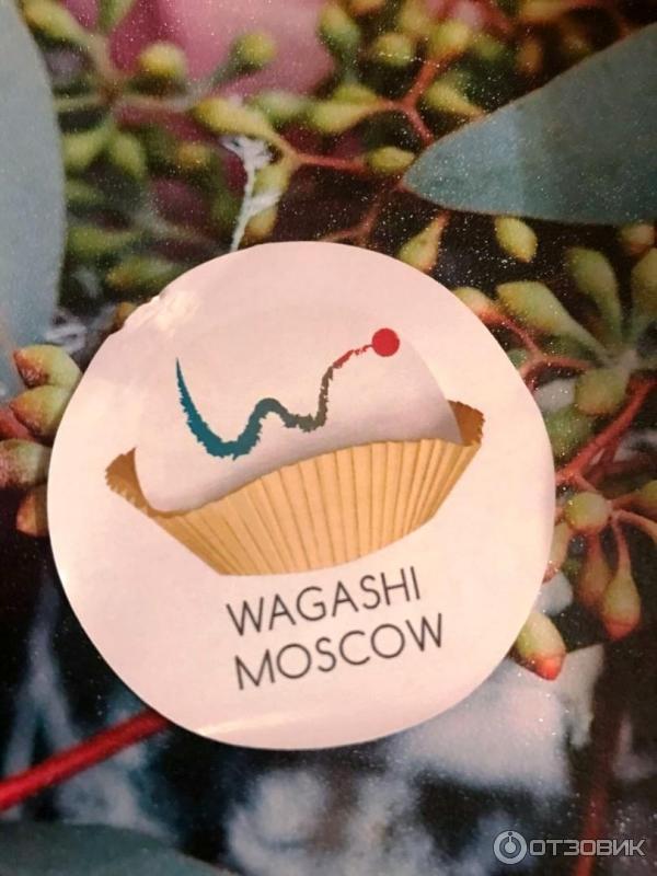 Японский рисовый десерт WAGASHI фото
