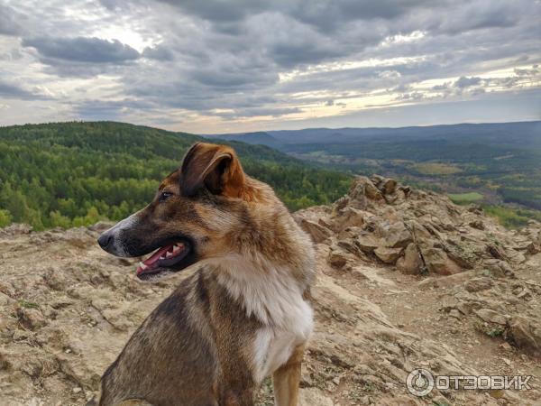 Смартфон Xiaomi Redmi Note 8T, фото