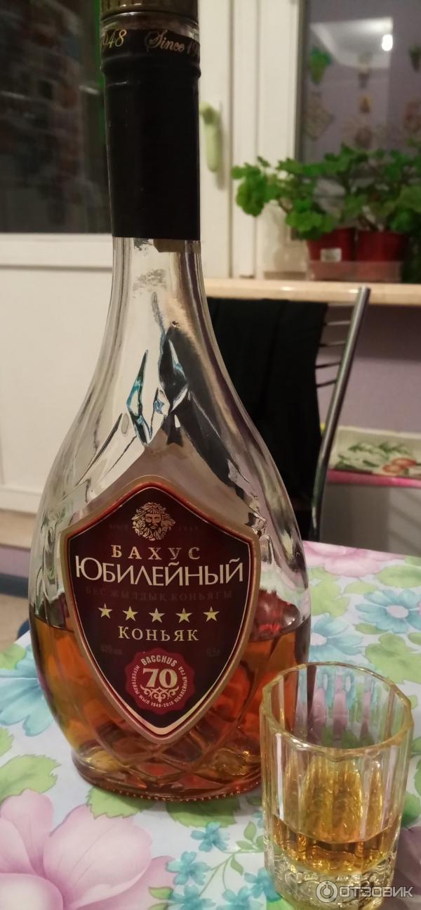 Кафе бахус отзывы иркутск