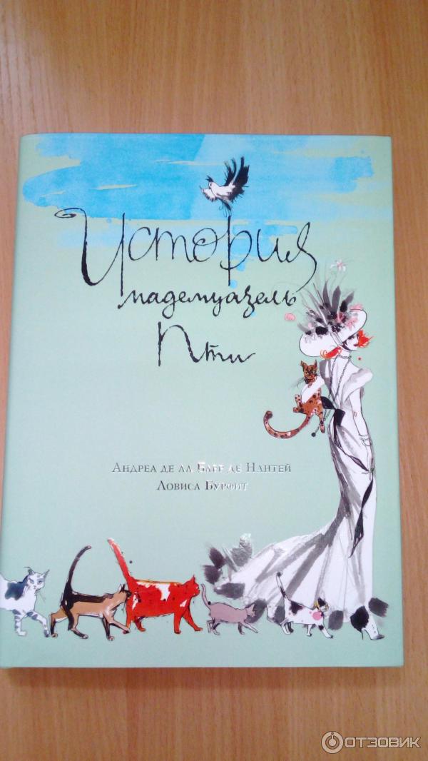 Книга История мадемуазель Пти Андреа де ла Барр де Нантей фото