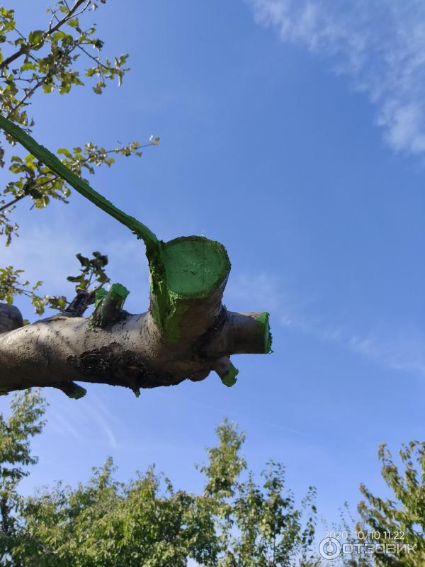 Краска на олифе для деревьев