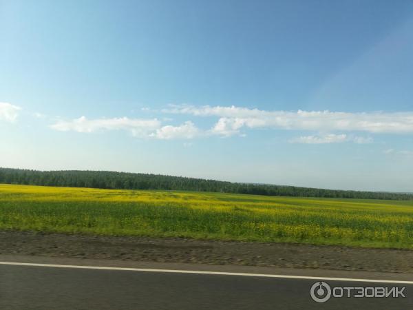 Трасса М53 (от Иркутска до Тулуна) фото