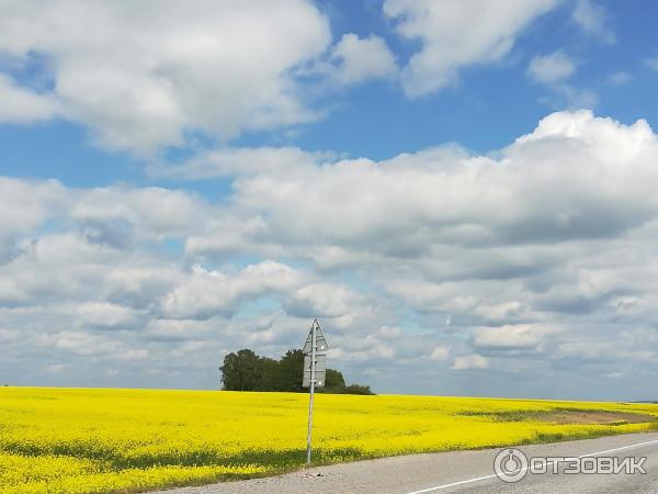 Трасса М53 (от Иркутска до Тулуна) фото