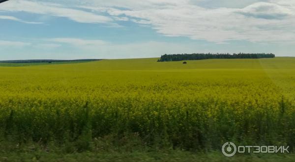 Трасса М53 (от Иркутска до Тулуна) фото